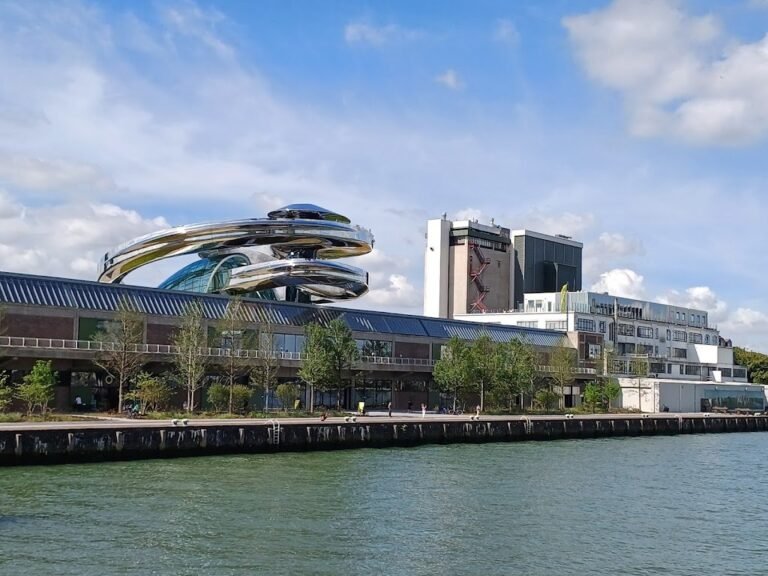 10172 fenix 1 768x576