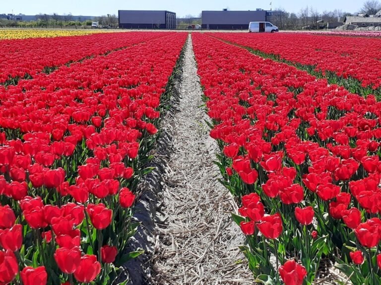 11044 streekmuseum veldzicht 1 768x576