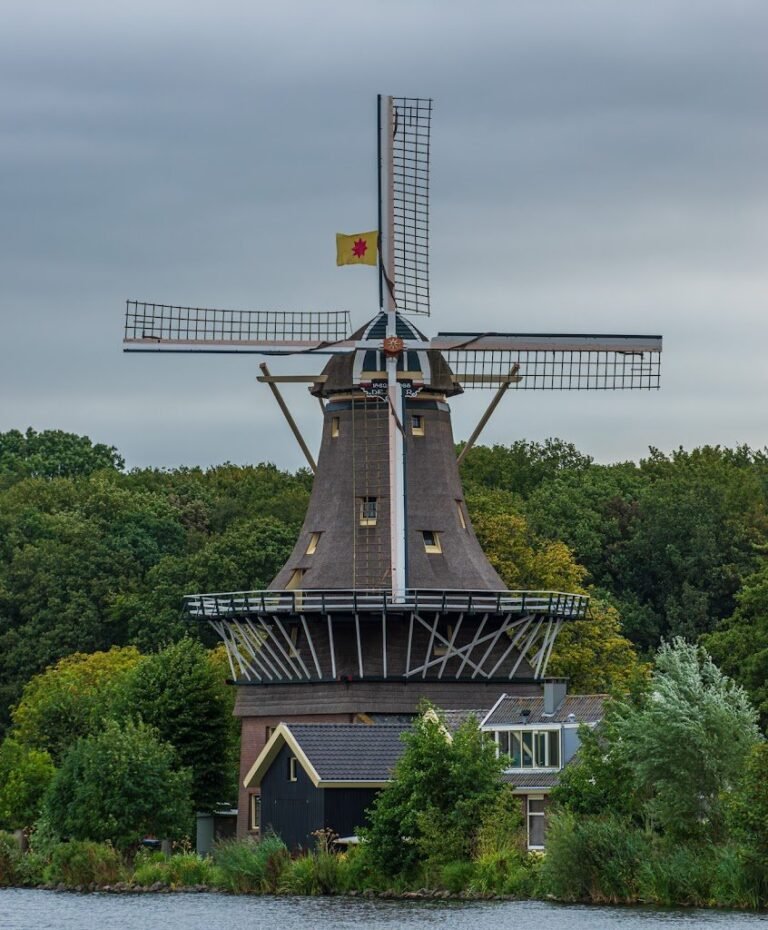 11071 de ster 1 768x930