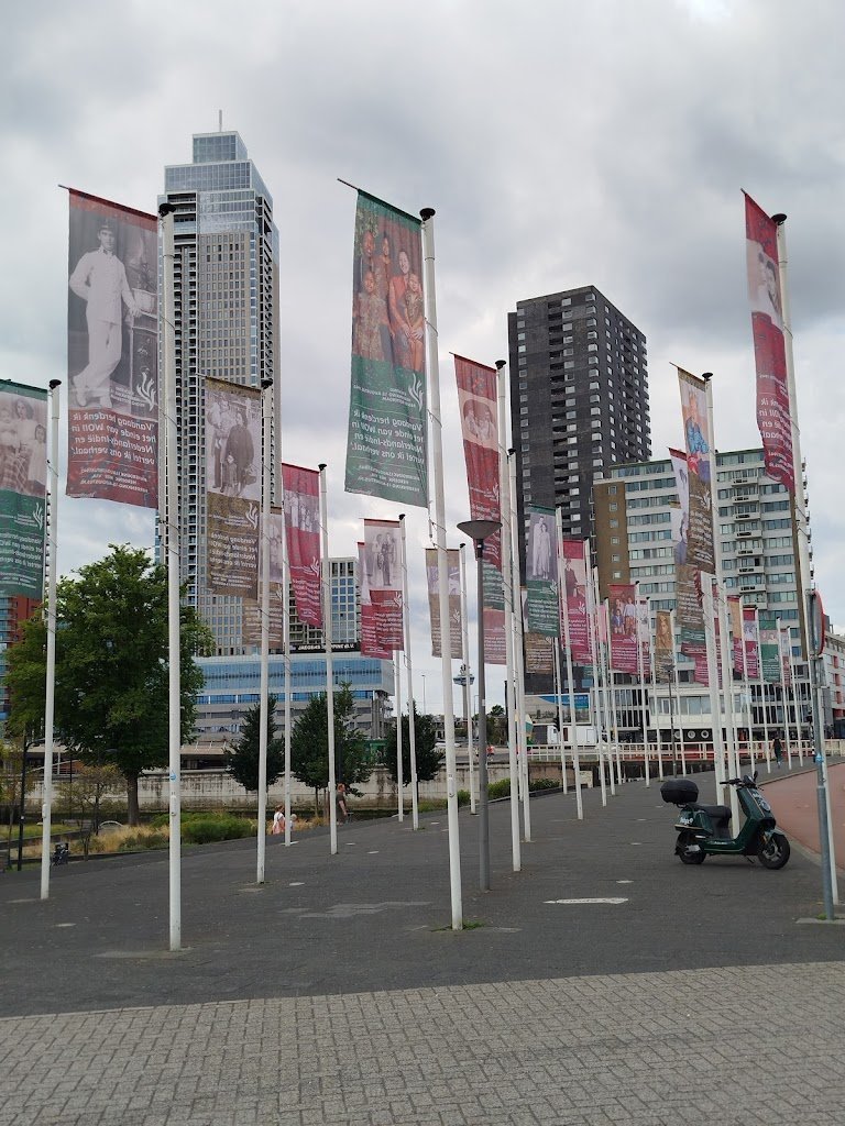 11123 vlaggenparade rotterdam 1