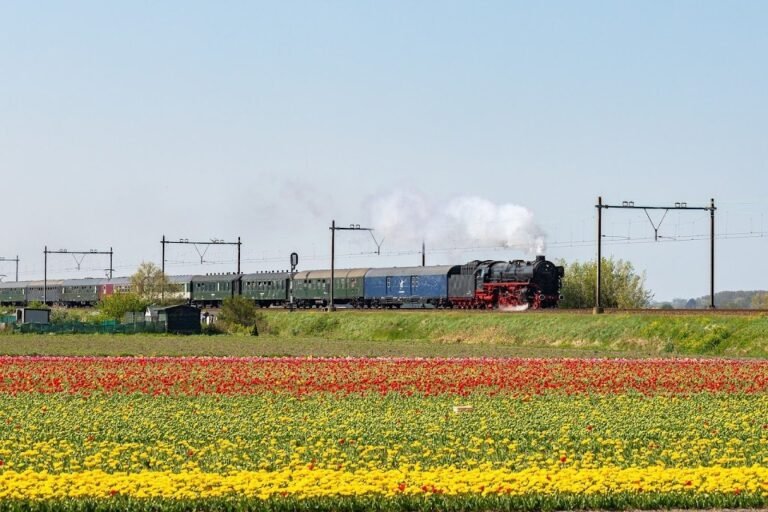 11126 stoom stichting nederland 1 768x512