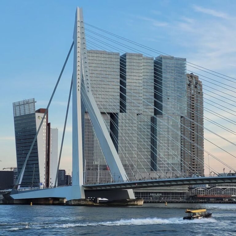 11150 boompjeskade 1 768x768