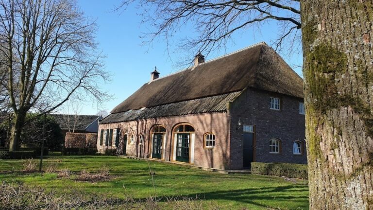 11168 museum 8216t brabants leven 1 768x432