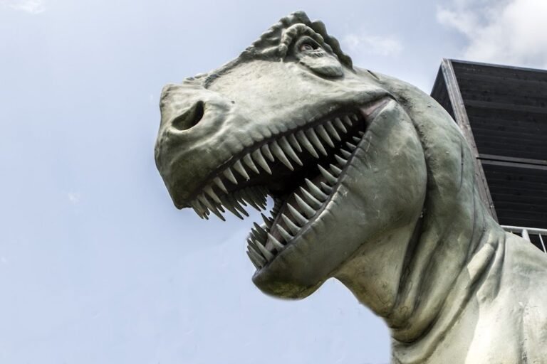 11207 historyland 1 768x512