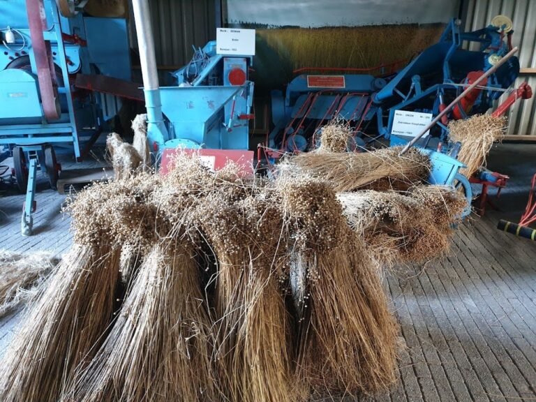 11249 museum 8216t vlasschuurken 1 768x576