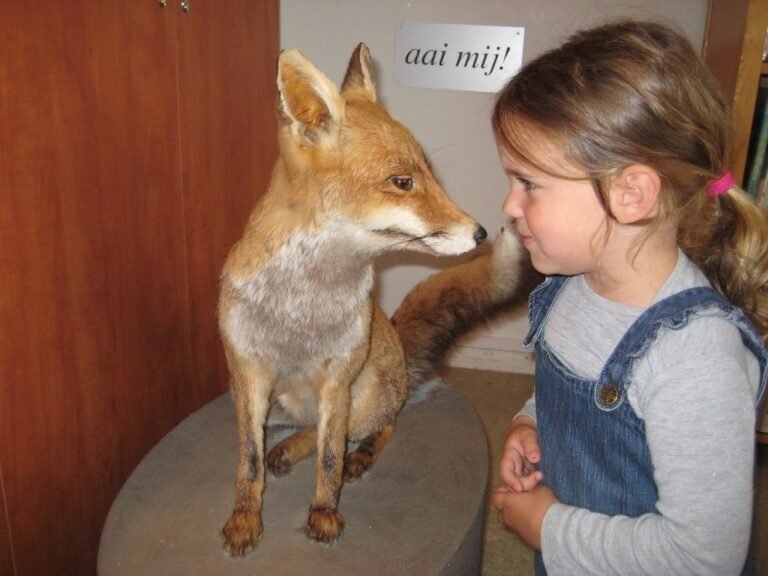 11394 pieter vermeulen museum 1 768x576