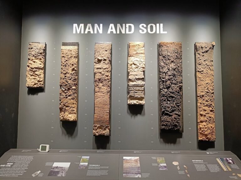 11469 isric 8212 world soil information 1 768x576