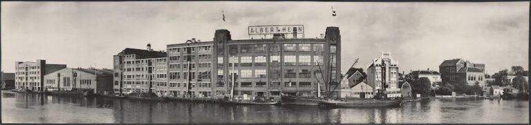 11562 museumwinkel albert heijn 1 768x181