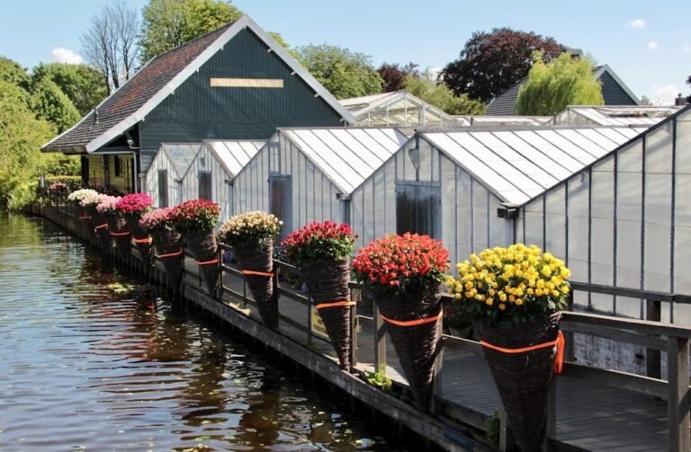 9088 museum historical garden aalsmeer 1 768x503