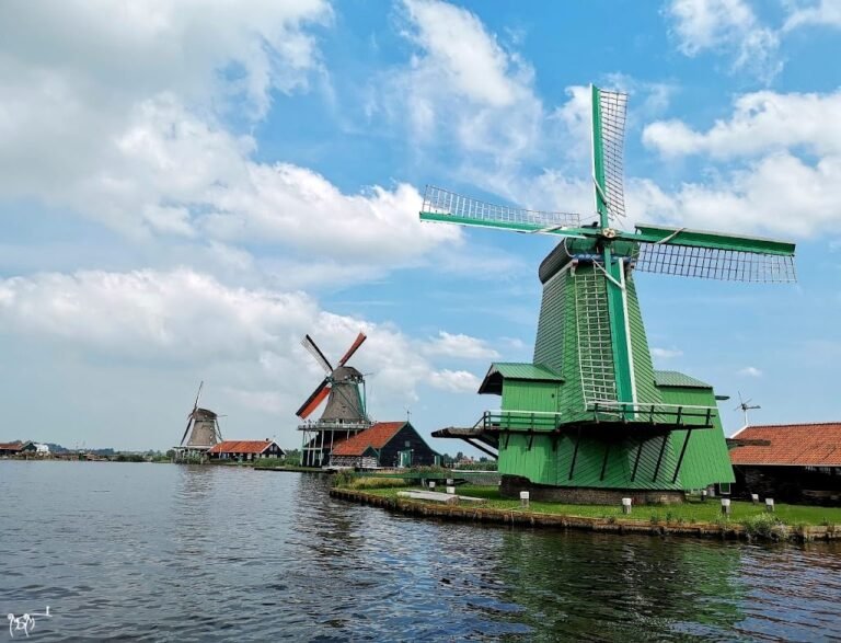 9340 windmill de zoeker 1 768x587